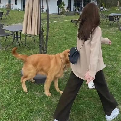 幸运汉克