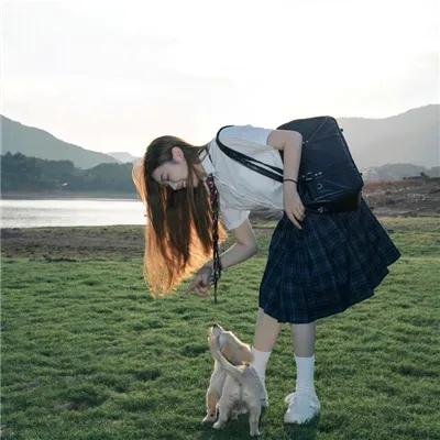 狂犬大灾难
